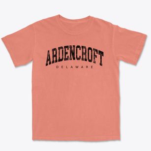 Ardencroft Delaware Urban Vibe Premium Heavyweight T-shirt