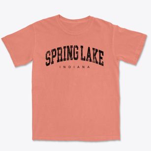 Spring Lake Indiana Urban Vibe Premium Heavyweight T-shirt