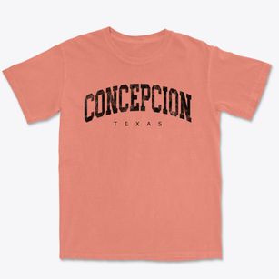 Concepcion Texas Urban Vibe Premium Heavyweight T-shirt