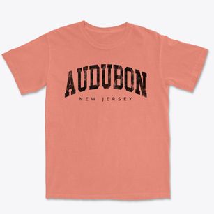 Audubon New Jersey Urban Vibe Premium Heavyweight T-shirt