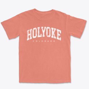 Holyoke Colorado Urban Vibe Premium Heavyweight T-shirt