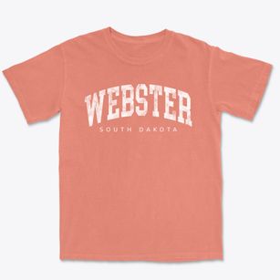 Webster South Dakota Urban Vibe Premium Heavyweight T-shirt