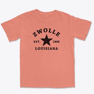 Zwolle Louisiana Star Premium Heavyweight T-shirt