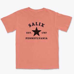 Salix Pennsylvania Star Premium Heavyweight T-shirt