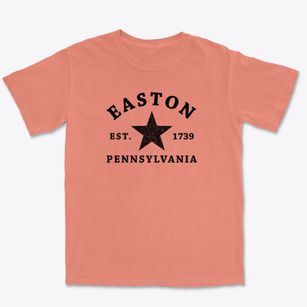 Easton Pennsylvania Star Premium Heavyweight T-shirt