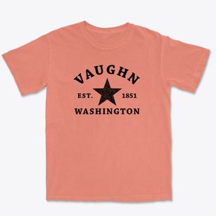 Vaughn Washington Star Premium Heavyweight T-shirt