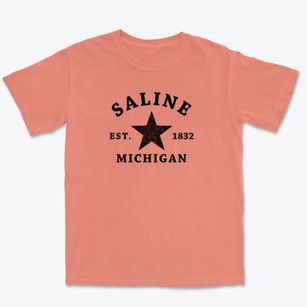 Saline Michigan Star Premium Heavyweight T-shirt