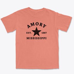 Amory Mississippi Star Premium Heavyweight T-shirt