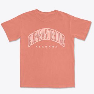 Pleasant Grove Alabama Inline Premium Heavyweight T-shirt