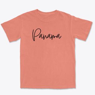 Panama New York Freestyle Premium Heavyweight T-shirt