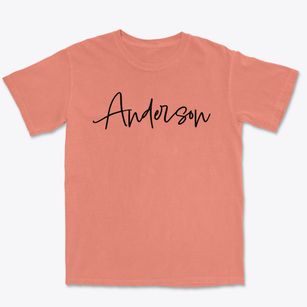 Anderson Alabama Freestyle Premium Heavyweight T-shirt