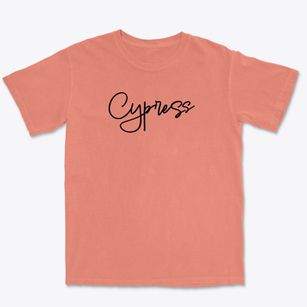 Cypress Illinois Freestyle Premium Heavyweight T-shirt