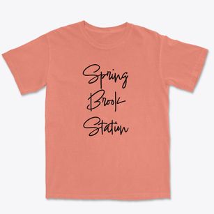 Spring Brook Station New York Freestyle Premium Heavyweight T-shirt