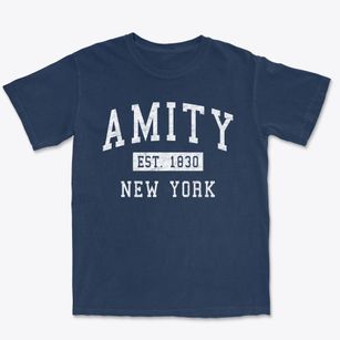 Amity New York Classic Established Premium Heavyweight T-shirt