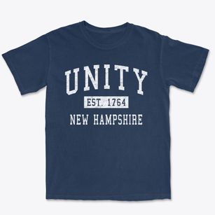Unity New Hampshire Classic Established Premium Heavyweight T-shirt