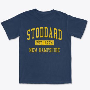 Stoddard New Hampshire Classic Established Premium Heavyweight T-shirt