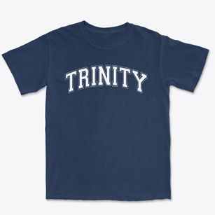 Trinity Christian Academy Varsity Arch Premium Heavyweight T-shirt