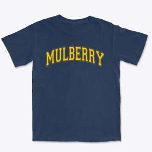 Mulberry School Varsity Arch Premium Heavyweight T-shirt
