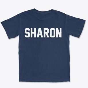 Sharon Wisconsin Classic Block Premium Heavyweight T-shirt