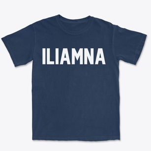 Iliamna Alaska Classic Block Premium Heavyweight T-shirt