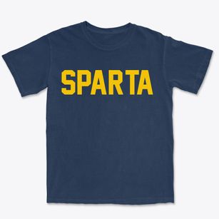 Sparta New York Classic Block Premium Heavyweight T-shirt