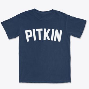 Pitkin Louisiana Classic Curve Premium Heavyweight T-shirt