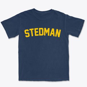 Stedman North Carolina Classic Curve Premium Heavyweight T-shirt