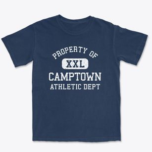 Camptown Virginia Athletic Dept Premium Heavyweight T-shirt