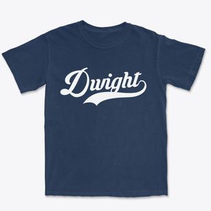 Dwight Illinois Vintage Team Premium Heavyweight T-shirt