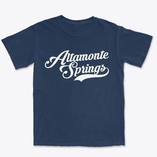Altamonte Springs Florida Vintage Team Premium Heavyweight T-shirt