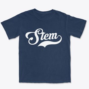 Stem North Carolina Vintage Team Premium Heavyweight T-shirt