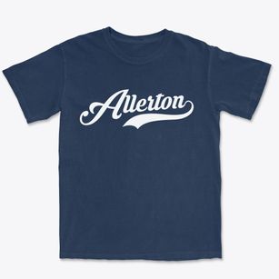 Allerton Iowa Vintage Team Premium Heavyweight T-shirt