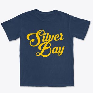 Silver Bay Minnesota Vintage Team Premium Heavyweight T-shirt