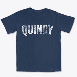Quincy Illinois Timeless Retro Premium Heavyweight T-shirt