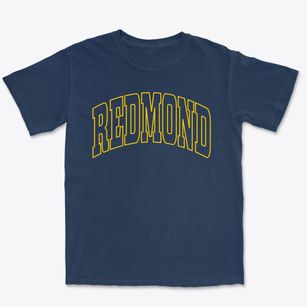 Redmond Washington Trendy Block Premium Heavyweight T-shirt
