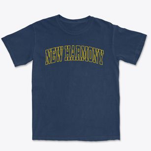 New Harmony Indiana Trendy Block Premium Heavyweight T-shirt