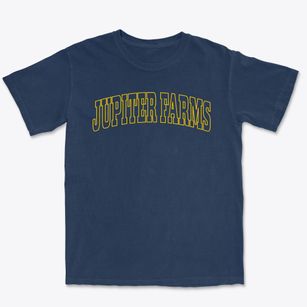 Jupiter Farms Florida Trendy Block Premium Heavyweight T-shirt