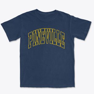 Pineville North Carolina Trendy Block Premium Heavyweight T-shirt