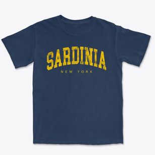 Sardinia New York Urban Vibe Premium Heavyweight T-shirt