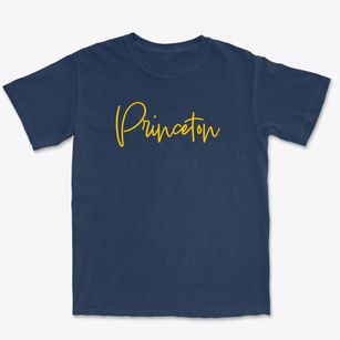 Princeton Indiana Freestyle Premium Heavyweight T-shirt