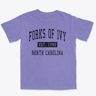 Forks Of Ivy North Carolina Classic Established Premium Heavyweight T-shirt