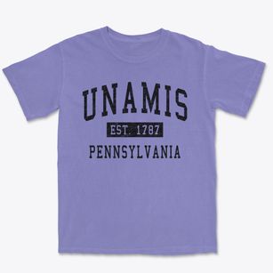 Unamis Pennsylvania Classic Established Premium Heavyweight T-shirt