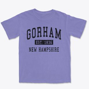 Gorham New Hampshire Classic Established Premium Heavyweight T-shirt