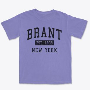 Brant New York Classic Established Premium Heavyweight T-shirt