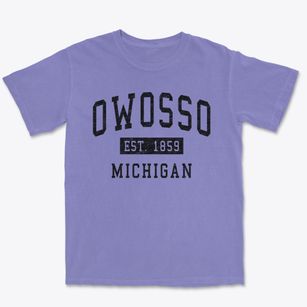 Owosso Michigan Classic Established Premium Heavyweight T-shirt