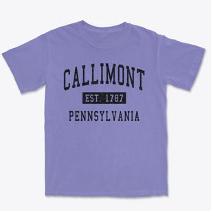 Callimont Pennsylvania Classic Established Premium Heavyweight T-shirt