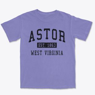 Astor West Virginia Classic Established Premium Heavyweight T-shirt