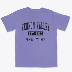 Vernon Valley New York Classic Established Premium Heavyweight T-shirt