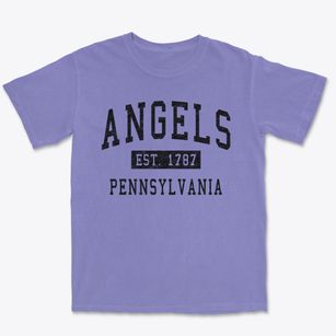 Angels Pennsylvania Classic Established Premium Heavyweight T-shirt