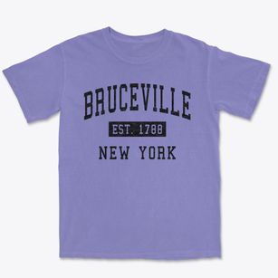Bruceville New York Classic Established Premium Heavyweight T-shirt